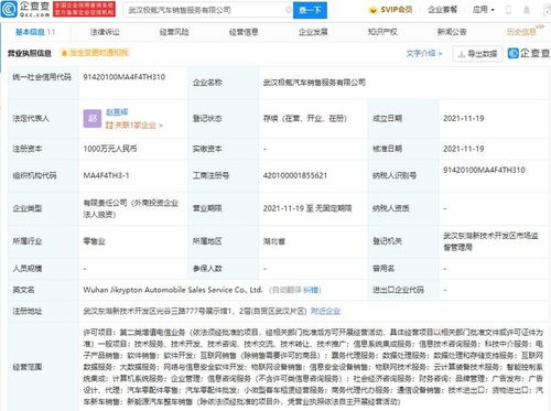 极氪汽车布局武汉，新公司聚焦物联网与云计算技术